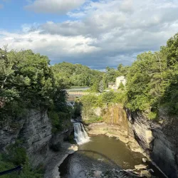 Cornell University - Ithaca