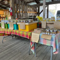 Ithaca Farmers Market - Ithaca