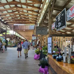 Ithaca Farmers Market - Ithaca