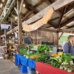 Ithaca Farmers Market - Ithaca