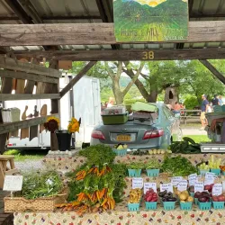Ithaca Farmers Market - Ithaca