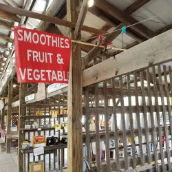 Ithaca Farmers Market - Ithaca