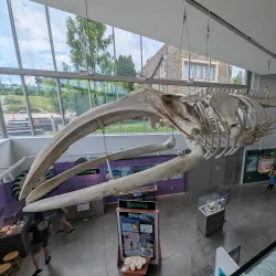 Museum of the Earth - Ithaca