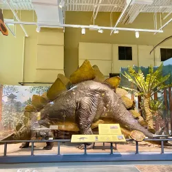 Museum of the Earth - Ithaca