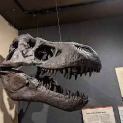 Museum of the Earth - Ithaca