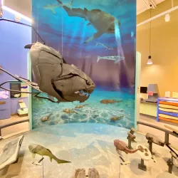 Museum of the Earth - Ithaca