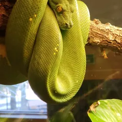 Sciencenter - Ithaca