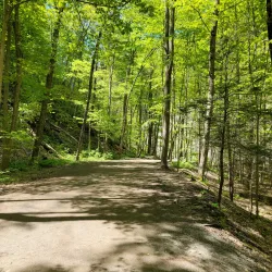 Taughannock Falls State Park - Ithaca