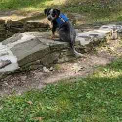 Allen Park - Jamestown