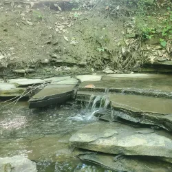 Allen Park - Jamestown