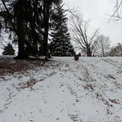 Allen Park - Jamestown