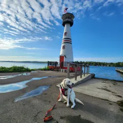 Lucille Ball Memorial Park - Jamestown