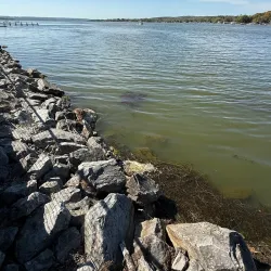 Lucille Ball Statue - Jamestown