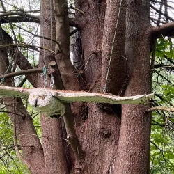 Roger Tory Peterson Institute of Natural History - Jamestown