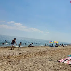 Kings Park Central Park - Kings Park