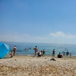 Kings Park Central Park - Kings Park