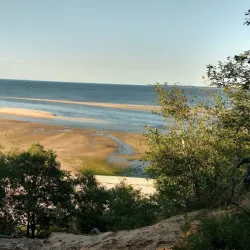 Kings Park Central Park - Kings Park