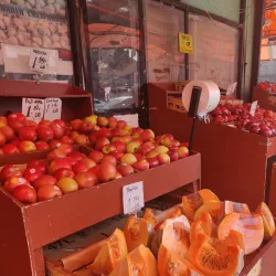 Kings Park Farmers Market - Kings Park