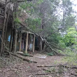 Kings Park Psychiatric Center Grounds - Kings Park