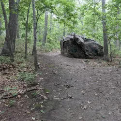 Kings Park Psychiatric Center Grounds - Kings Park