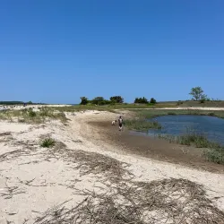 Nissequogue River State Park - Kings Park