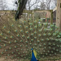 Forsyth Park - Kingston
