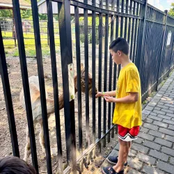 Forsyth Park - Kingston