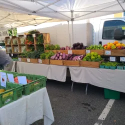 Kingston Farmers Market - Kingston