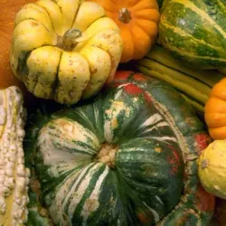 Kingston Farmers Market - Kingston