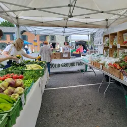 Kingston Farmers Market - Kingston