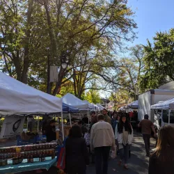 Kingston Farmers Market - Kingston