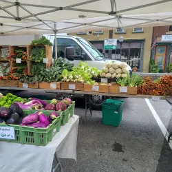 Kingston Farmers Market - Kingston