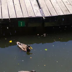 Kingston Waterfront - Kingston