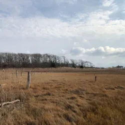 Eaton's Neck Preserve - Long Beach