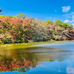 Caumsett State Historic Park Preserve - Long Island