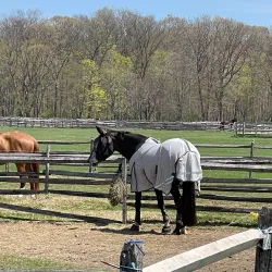 Caumsett State Historic Park Preserve - Long Island