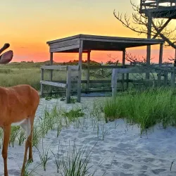 Fire Island National Seashore - Long Island
