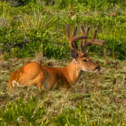 Fire Island National Seashore - Long Island