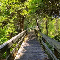 Fire Island National Seashore - Long Island