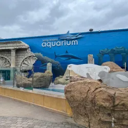 Long Island Aquarium - Long Island