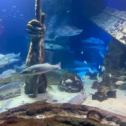 Long Island Aquarium - Long Island