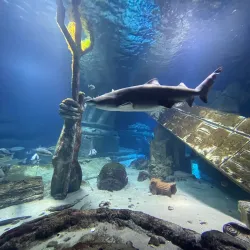 Long Island Aquarium - Long Island