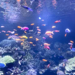 Long Island Aquarium - Long Island