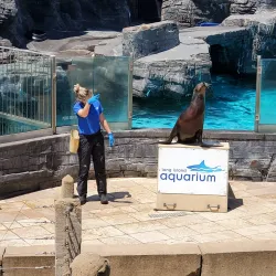 Long Island Aquarium - Long Island