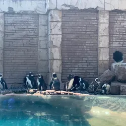 Long Island Aquarium - Long Island