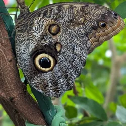 Long Island Aquarium - Long Island