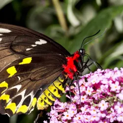 Long Island Aquarium - Long Island