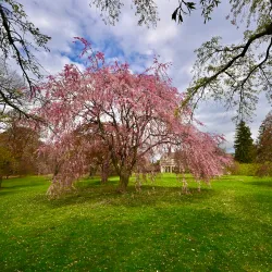 Planting Fields Arboretum State Historic Park - Long Island
