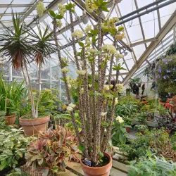 Planting Fields Arboretum State Historic Park - Long Island