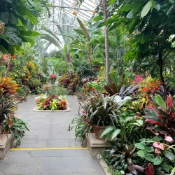 Planting Fields Arboretum State Historic Park - Long Island